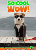 So Cool Wow GIF by PetJuvenate - PJ