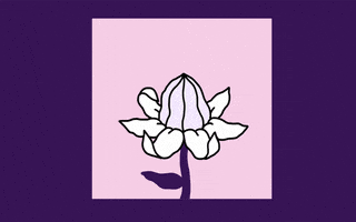 music video lol GIF by Evan M Cohen