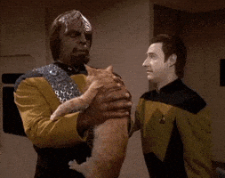 Star Trek Good Cat GIF by reactionseditor