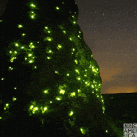 glow planet earth GIF by BBC America