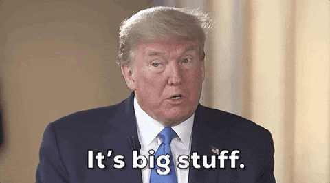 Giphy - Donald Trump GIF by GIPHY News