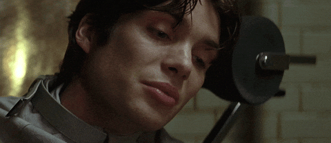 Giphy - You Cant Stop It Now Cillian Murphy GIF