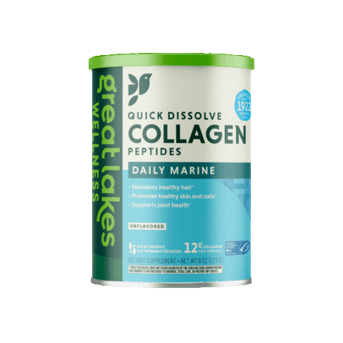 Great Lakes Wellness Sticker