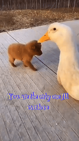 Epic Love Story by Lydia Getachew