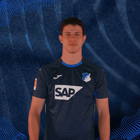 Sport Bundesliga GIF by TSG Hoffenheim