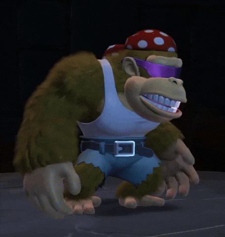 Nintendo Switch Dkc GIF