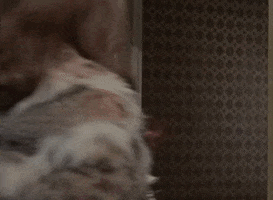 Here GIF