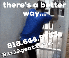 8186445753 GIF
