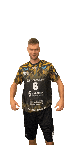 Bundesliga Handball Sticker by hcelbflorenz