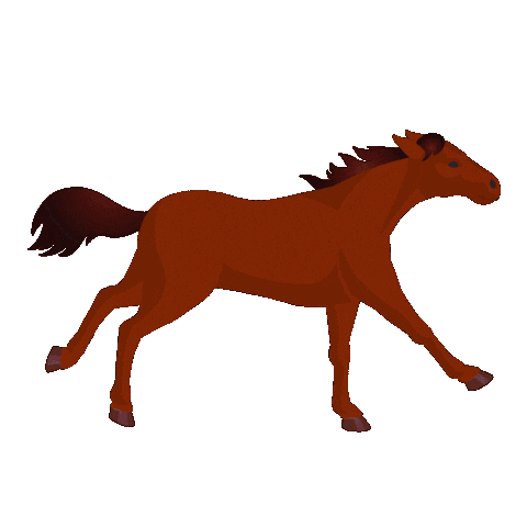 Galloping Horse Racing Sticker by Breeders' Cup World Championships