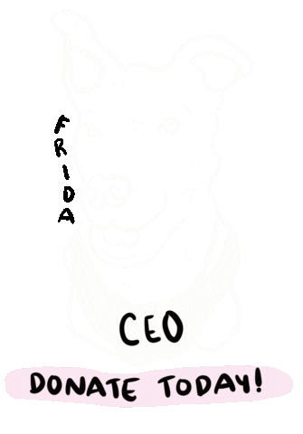 Frida Foundation Sticker