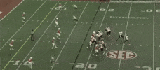 Interception GIF