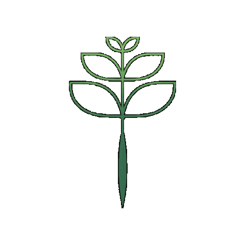 Capital Sticker by capitalresearchbrazil