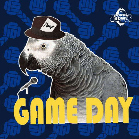 Game Day Bird GIF by Puppy Bowl
