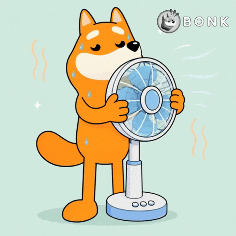 Crypto Gm GIF by BONK