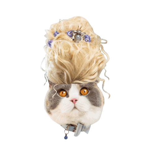Marie Antoinette Cat Sticker by Cheshire & Wain