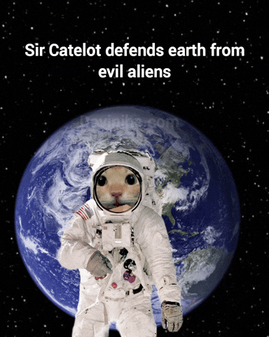 Cats Earth GIF