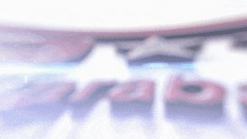 garantiliarabam.com GIF