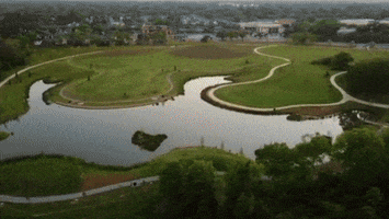 Moncus Park GIF