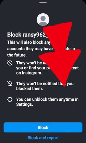 Block Ransy GIF