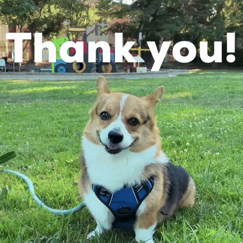 Dog Thank You GIF