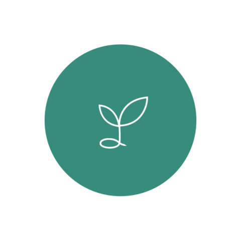 Codeseed Sticker