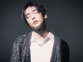 Prince Dior GIF
