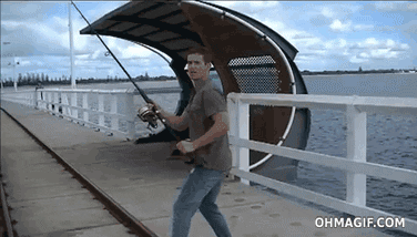 giphy.gif?cid=ecf05e4753817cf25d05c9a536