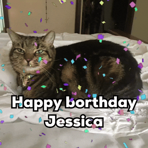 Happy Birthday Cat GIF