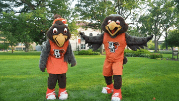 Bowling Green Fly GIF by Bowling Green State University