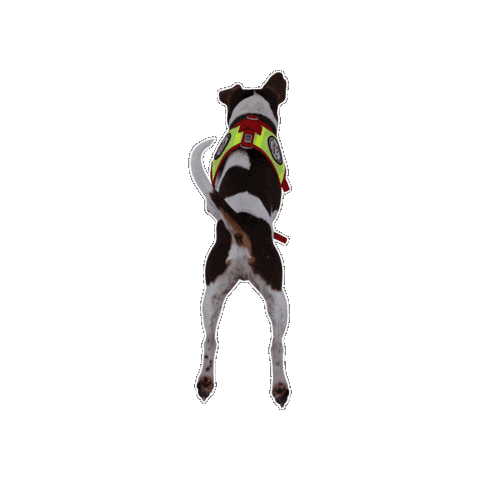 Rettungshund Sticker by Österreichische Rettungshundebrigade