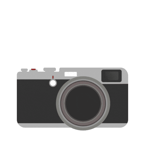 Loop Photography Sticker by ALYFE