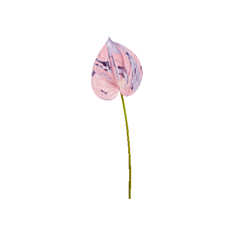 ACID.FLWRS Sticker