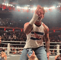 Cmpunkmeme2026 GIF