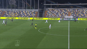 Goal Verde GIF by Pordenone Calcio