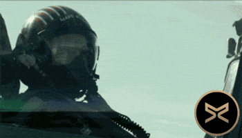 Army GIF