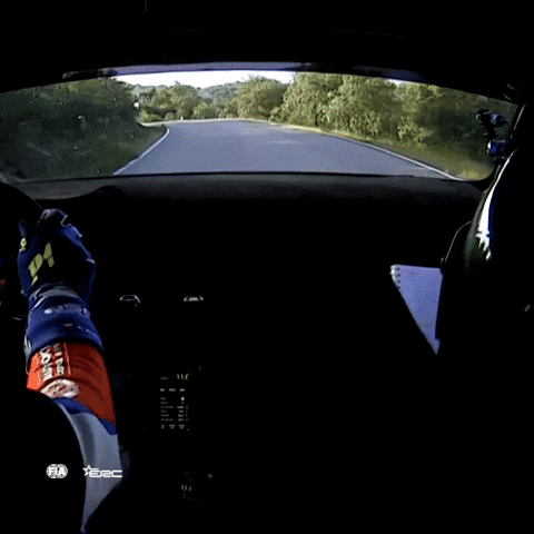 Too Fast Crash GIF by FIA European Rally Championship
