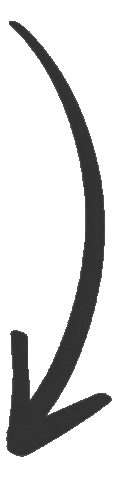 Source: Joy Morin Source: Joy Morin