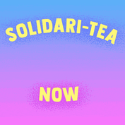 Solidari-tea now