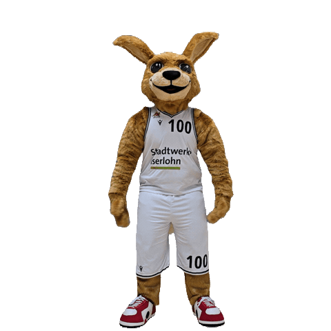 Basketball Mascot Sticker by Iserlohn Kangaroos