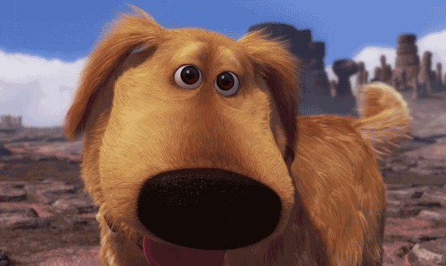 giphy.gif?cid=ecf05e47wo1p1v3nut4aptfido