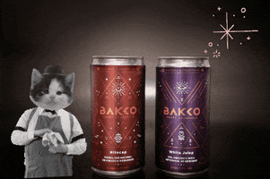 bakkocraft drink drinks cocktail cocktails GIF