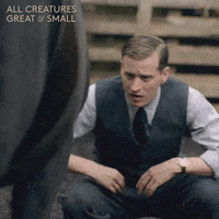 Fall Horse GIF by All Creatures Great And Small
