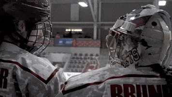 Ice Hockey GIF by Norwich University