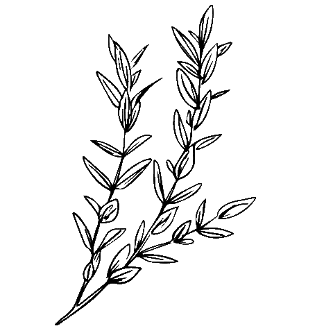 Organic Republic Sticker