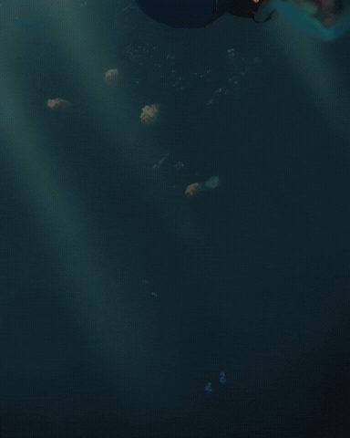 Artwork GIF
