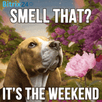 Digital illustration gif. Beagle takes in the smell of an animated pink rose in a field of purple trees. Its nostrils move in and out as it sniffs, petals flying through the frame. Text, "Smell that? It's the weekend."