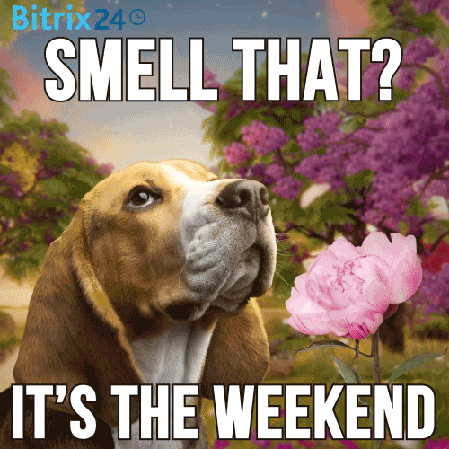 Digital illustration gif. Beagle takes in the smell of an animated pink rose in a field of purple trees. Its nostrils move in and out as it sniffs, petals flying through the frame. Text, "Smell that? It's the weekend."