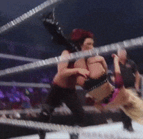 Kelly Kelly Wwe GIF