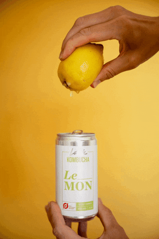 Drinks Lemon GIF by laesk